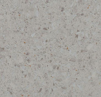 Линолеум Forbo Eternal Material 12092 neutral stone фото 1 | FLOORDEALER